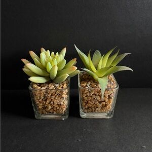 Vibrant Faux Succulent Duo in Glass Pots